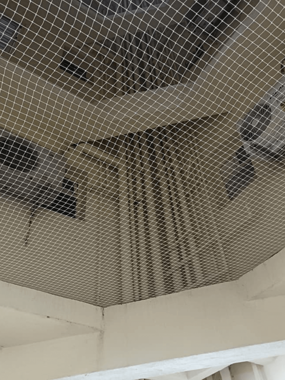 Nets 3