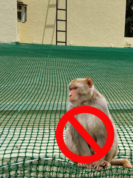 Safety Nets 7